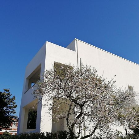 Oltre Le Dune Murta Maria Eksteriør bilde